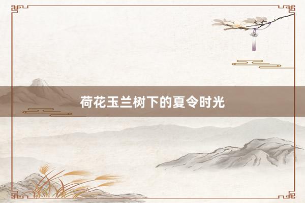 荷花玉兰树下的夏令时光